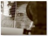 J3_selection12