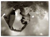 J4_selection_17