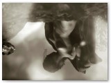 J4_selection_18